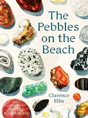 cover image of The Pebbles on the Beach